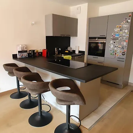 Perle De Savoie Free Multipass Offer For 4 Guests Apartment Chatel